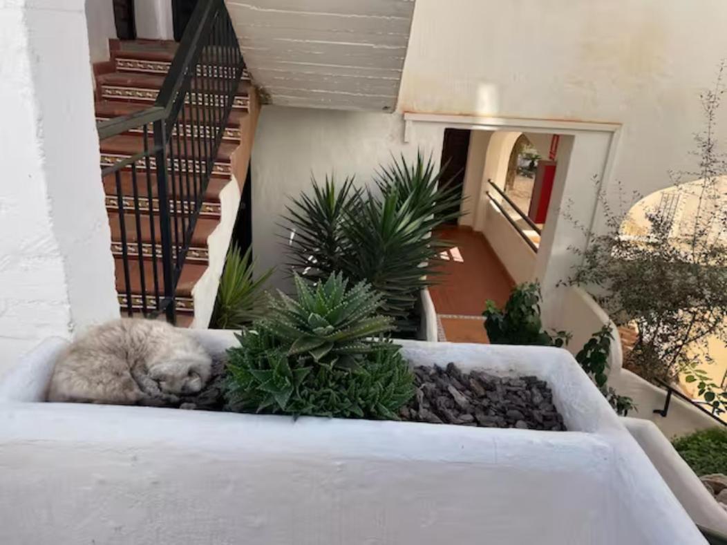 Pueblo Evita Apartment In Exclusive Holiday Complex Benalmádena Extérieur photo